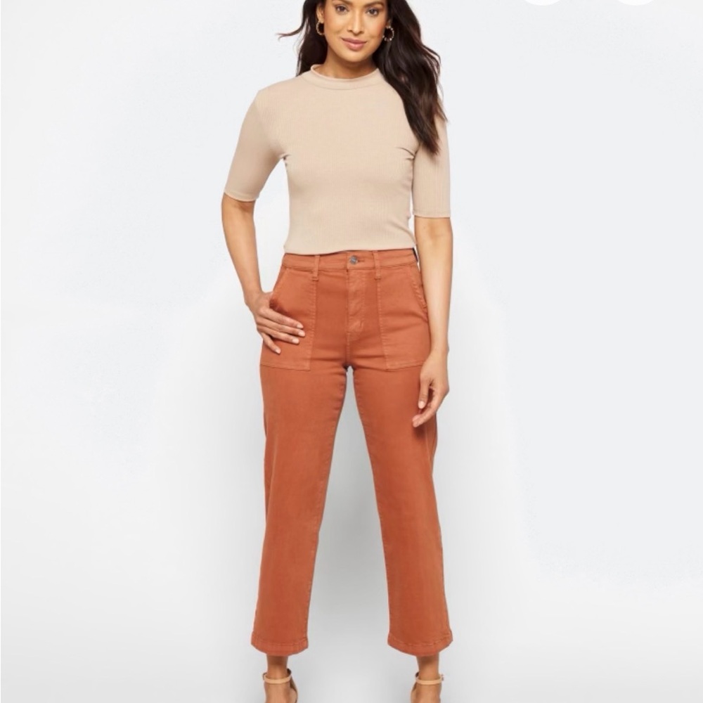 🚨SALE🚨Studio Blue Wide Leg Utility Pant in Terracotta